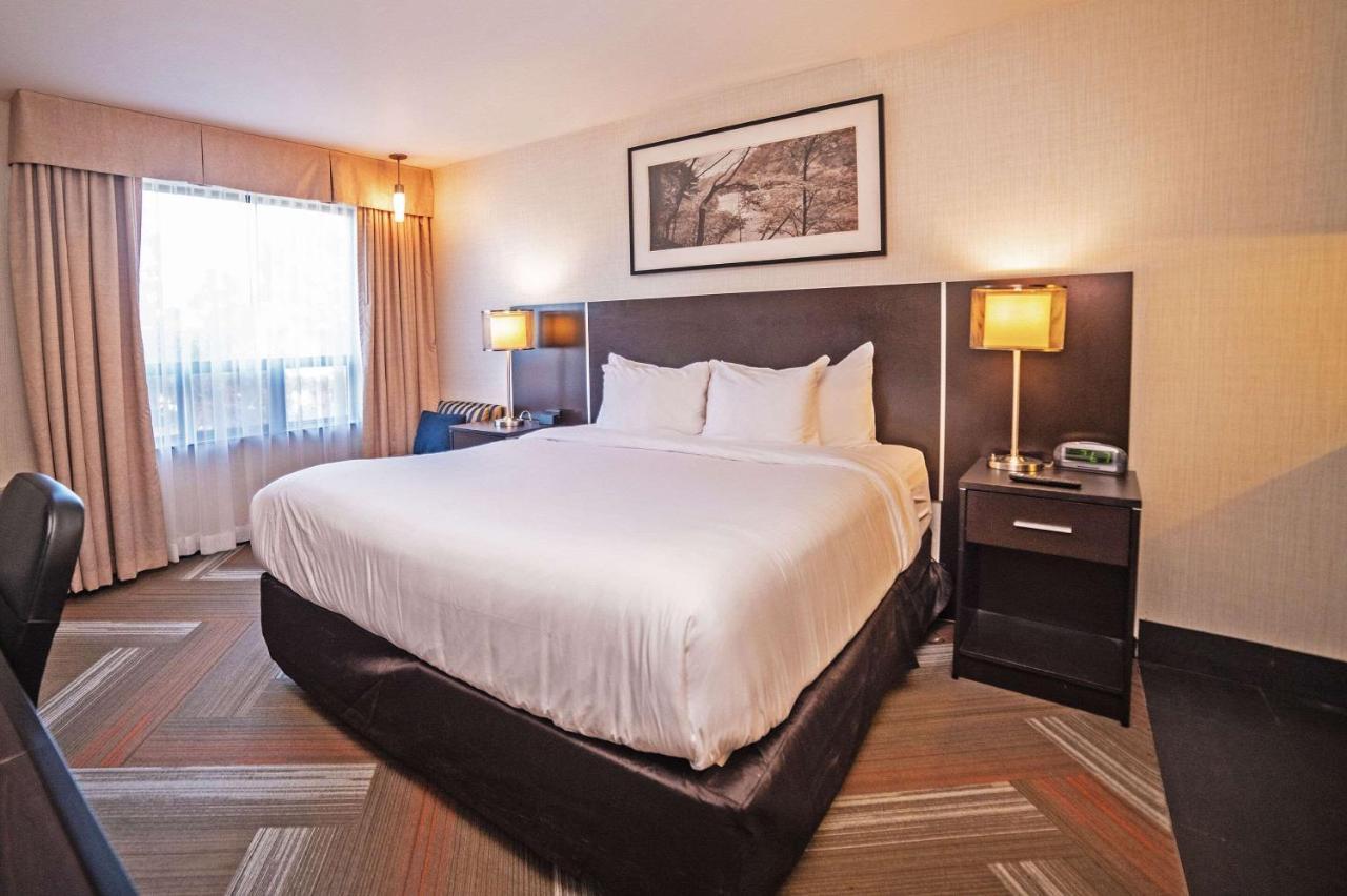 Hotel Quality